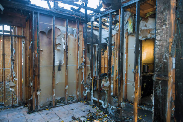 Professional Fire Damage Removal technician working in Arbutus, MD